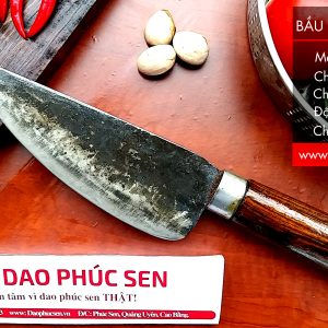 DAO BẦU LỌC 20 CÁN CẨM