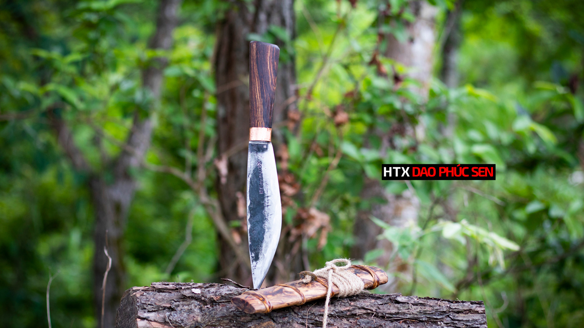 DAO MÈO M28NCD ( Không kèm đai da) - Ảnh 2