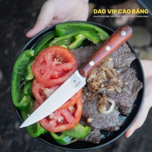 Dao ăn bít tết 12cm thép trắng - DAC HÀNG CHUẨN DAO VIP CAO BẰNG