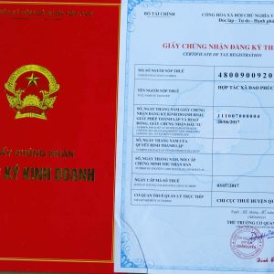 DAO PHÚC SEN TÔNG CHẶT GÀ MỚI - Ảnh 3