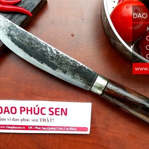 DAO LỌC 02 CÁN CẨM