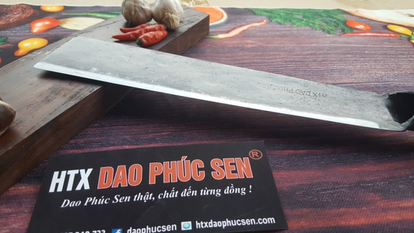 DAO TÔNG CÁN SẮT - Ảnh 2